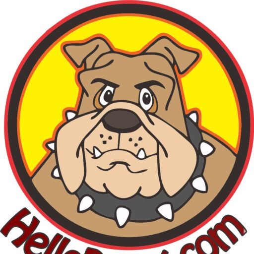 Hello Dawg Bumper Sticker 3 x 10"